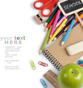 白色大蒜花 辦公環(huán)境中的自然點綴