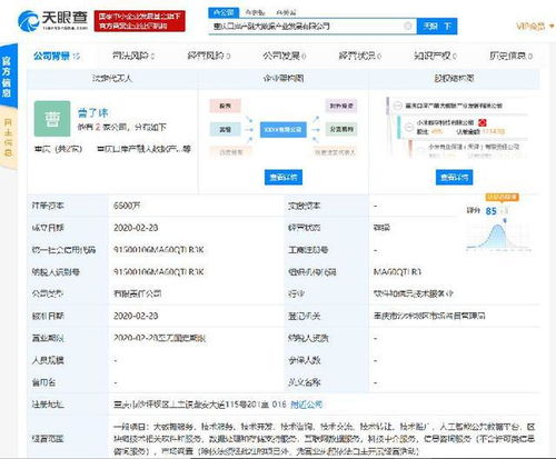 小米落子重慶，成立產(chǎn)融大數(shù)據(jù)公司，布局區(qū)塊鏈與數(shù)據(jù)處理服務(wù)